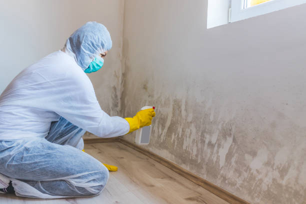 Hvac And Air Duct Mold Remediation inspection of HVAC system in Whiteford